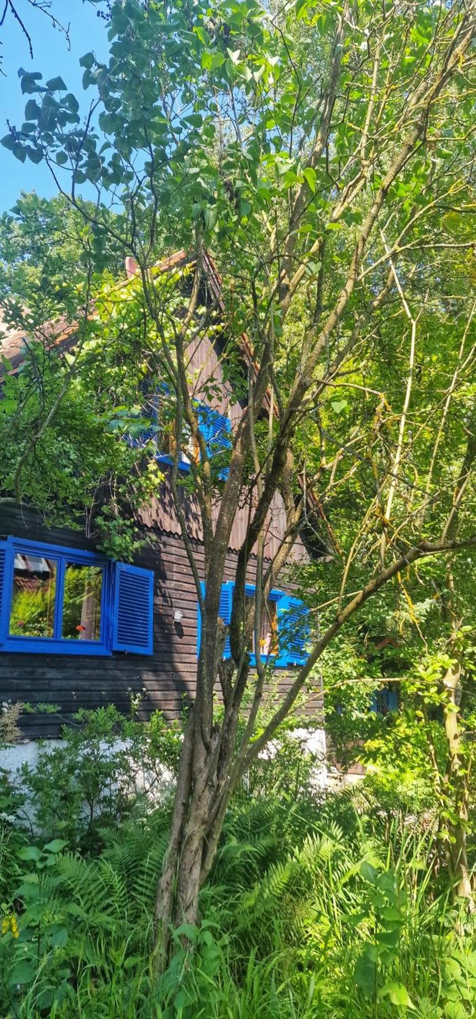 Forsthaus Sommerleite Ferienhaus Kammerstein